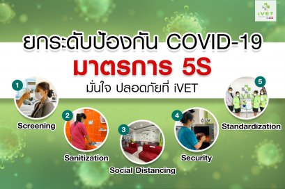 โรงพยาบาลสัตว์ไอเว็ท - iVET hospital ยกระดับป้องกัน COVID-10 มาตรการ 5S มั่นใจปลอดภัย ที่ IVET #TrustiVET